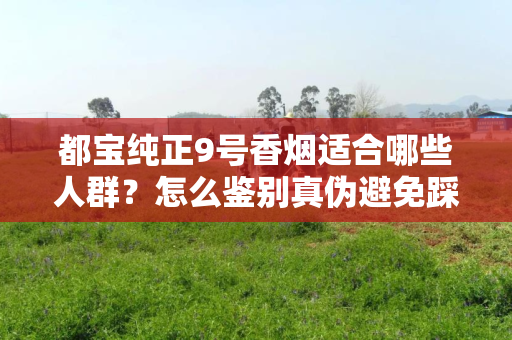 都宝纯正9号香烟适合哪些人群？怎么鉴别真伪避免踩坑？